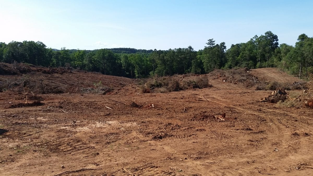 Logging and Clearing Started at Holly Ridge Cothran Properties